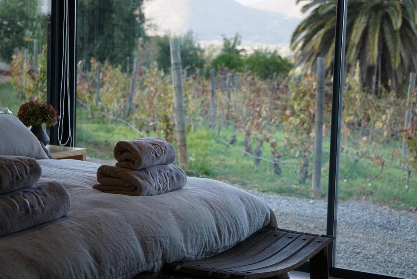 Vina Lof - Maipo Valley Bed & Breakfast In Winery Paine Exterior photo